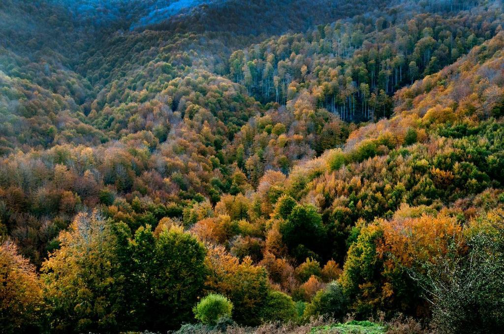 Casa Rural Lenco Zilbeti Buitenkant foto