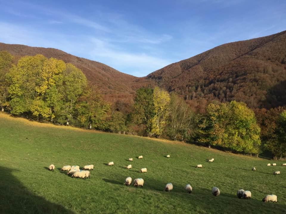 Casa Rural Lenco Zilbeti Buitenkant foto